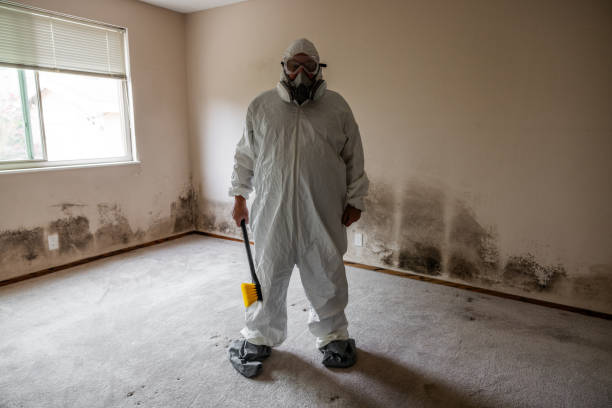 Best Mold Damage Repair  in Caon City, CO